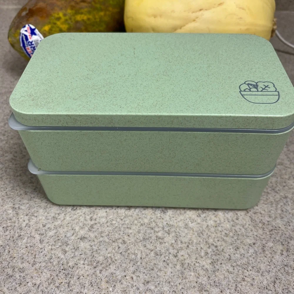 Lunch/bento box